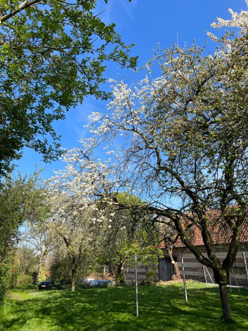 De Zwarte Stok Villa รีมส์ท ภายนอก รูปภาพ